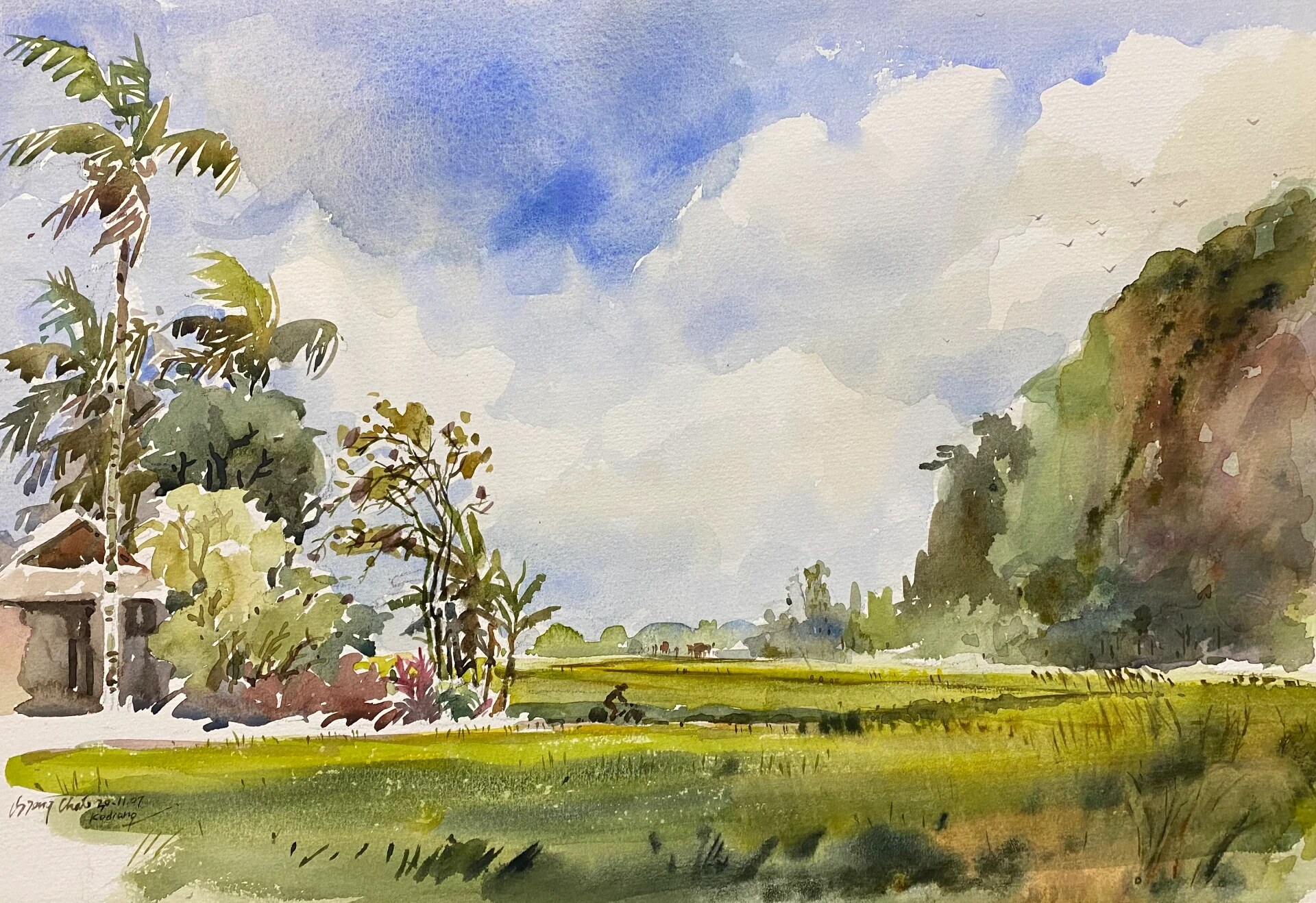 北稻 · Northern Paddy by Angelo Chia Seng Chai
