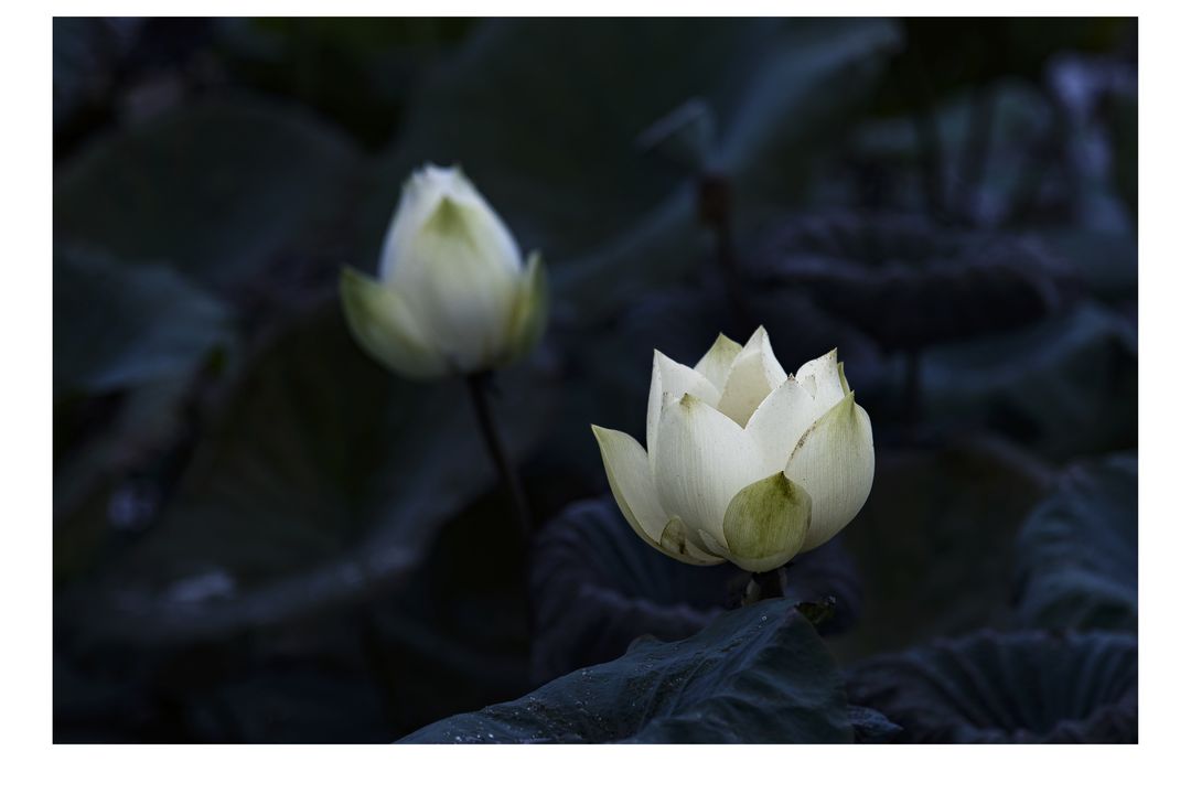 One Then the Other by Mah Yuen Lung