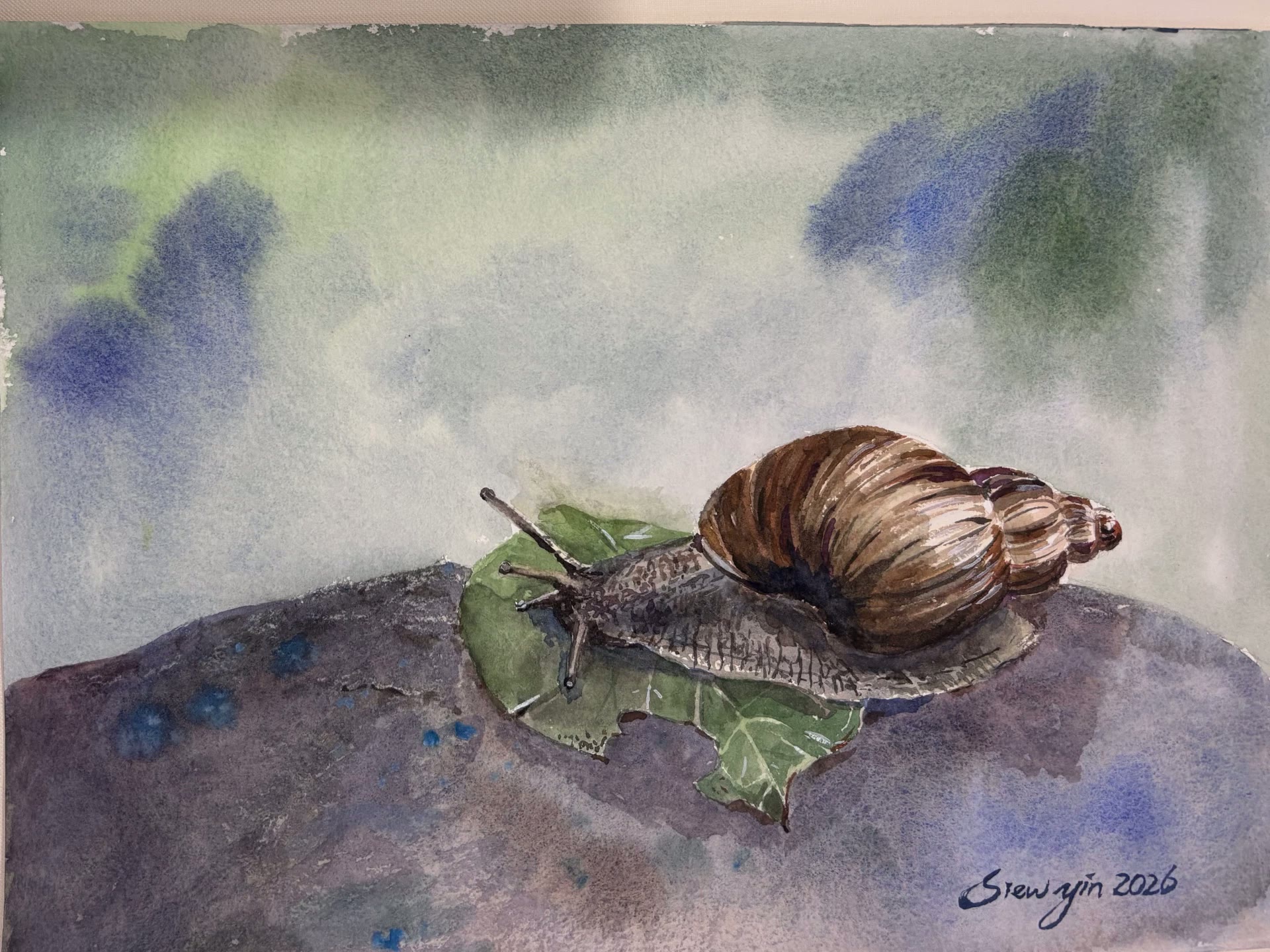The Slow Crossing by Ho Siew Yin